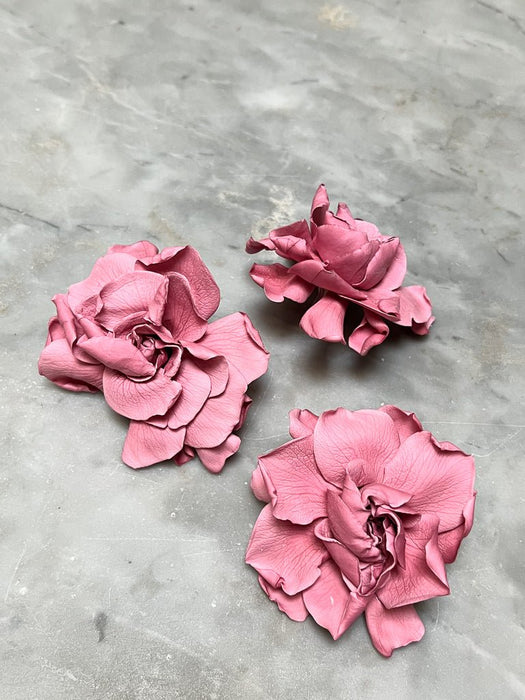 GARDENIA » dusty pink preserved