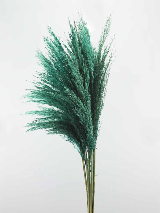 PAMPAS » teal - ONELIA